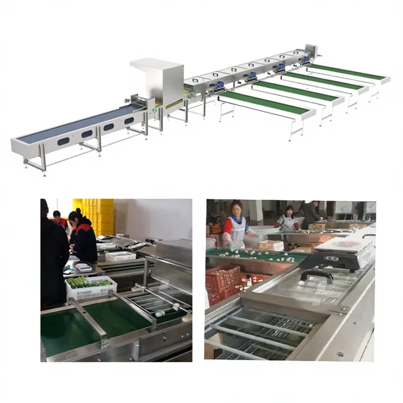 Sunlinn-Automatic-Egg-Grading-Sorting-Machine-30000pcs-h-Egg-Sorter-Machine-with-South-Asia-Australia-Poland