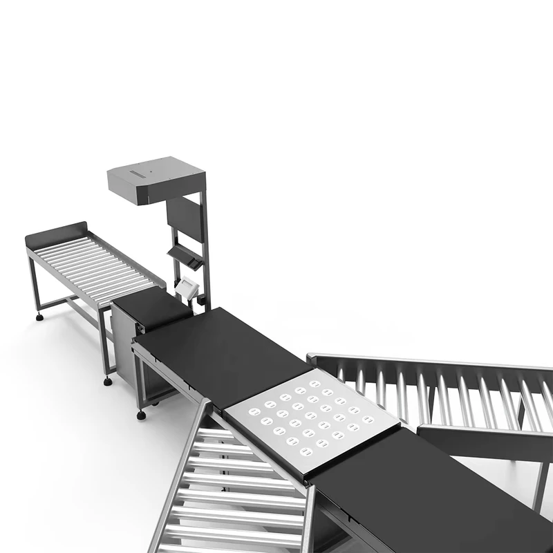 Widely-Used-DWS-Automated-Parcel-Sorting-Conveyor-Machine-with-Dynamic-Weighing-System-for-Logistic-Warehouse-Use